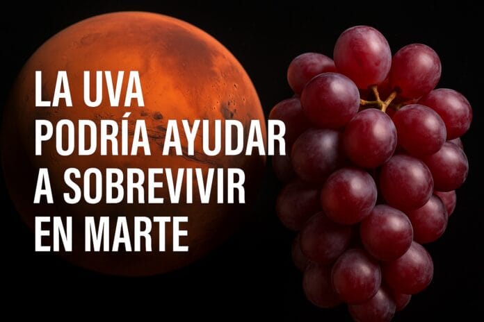 La uva podría ayudar a sobrevivir en Marte