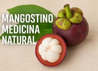 Mangostino medicina natural: beneficios y propiedades principales Mangostino medicina natural: beneficios y propiedades principales