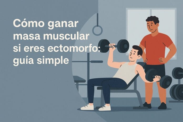 Cómo ganar masa muscular si eres ectomorfo: guía simple