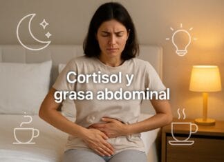 Cortisol grasa abdominal: hábitos y menú antiestrés Cortisol grasa abdominal: hábitos y menú antiestrés