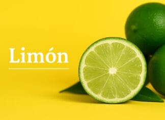Limón: beneficios, propiedades y cómo usarlo bien en tu dieta Limón: beneficios, propiedades y cómo usarlo bien en tu dieta