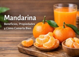 Mandarina: beneficios, propiedades y cómo comerla bien a diario Mandarina: beneficios, propiedades y cómo comerla bien a diario