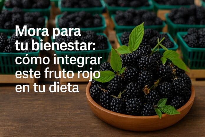 Mora para tu bienestar: Como integrar este fruto rojo en tu dieta