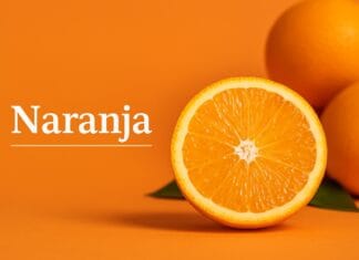 Naranja: beneficios, propiedades y cómo usarla bien en tu dieta Naranja: beneficios, propiedades y cómo usarla bien en tu dieta