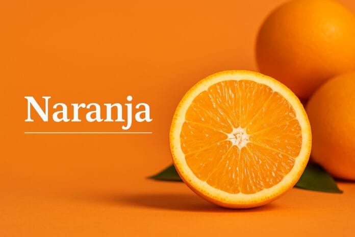 Naranja beneficios, propiedades y cómo usarla bien en tu dieta Naranja: beneficios, propiedades y cómo usarla bien en tu dieta