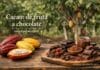 Cacao: de fruta a chocolate Cacao: de fruta a chocolate